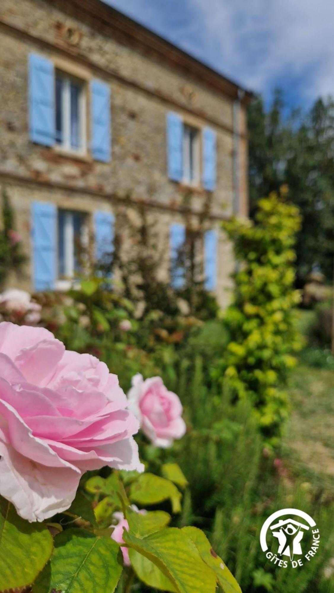 Aux Roses De Cedres Chambre Savane Salvagnac Exterior photo